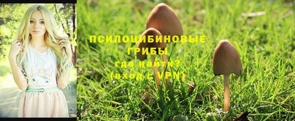 синтетический гашиш Белоозёрский