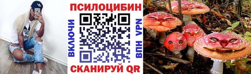 Псилоцибиновые грибы Cubensis  Купить закладки  Красноуфимск 
