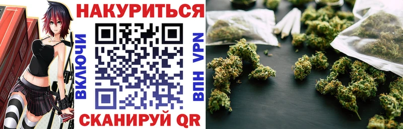 Купить закладки  Красноуфимск  Бошки марихуана сатива 